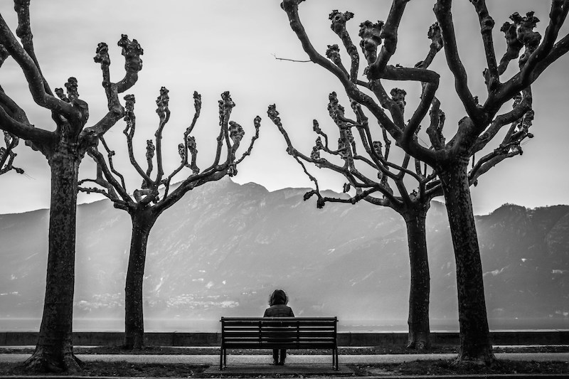 Bare-limbed trees flanking an individual person sitting on a bench