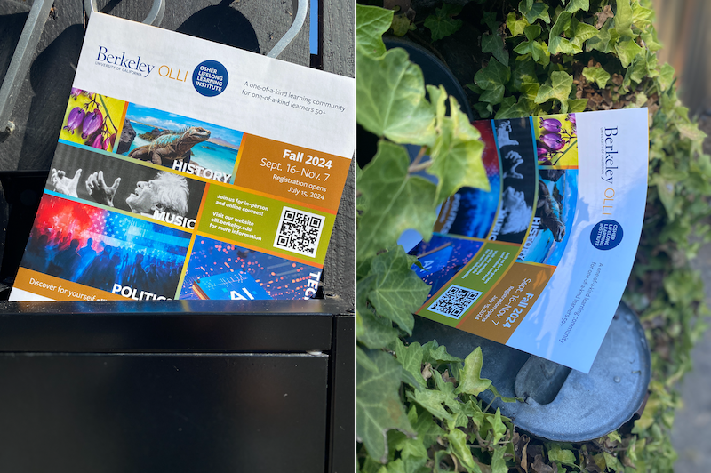 Two fall brochures poking out of mailboxes