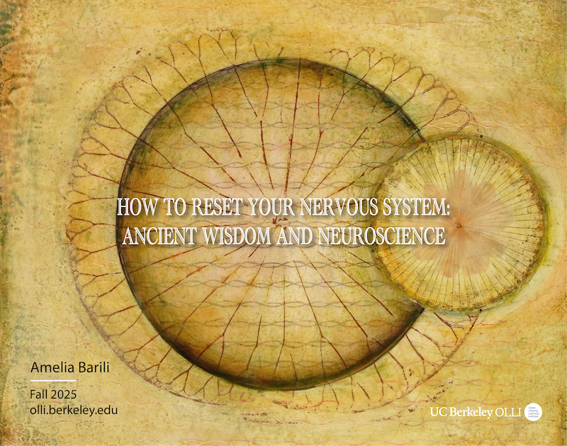 An ancient illustration that harkens to body, spirit and wisdom