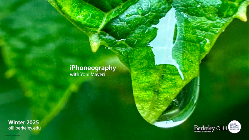 Close up a drop falling off a leaf. Photo by Yoni Mayeri