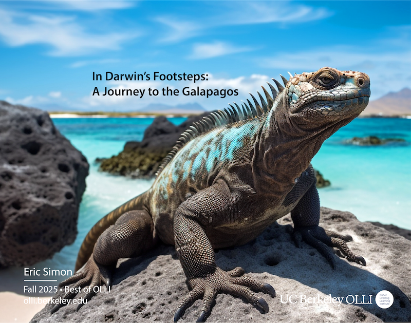 A lizard only found on the Galapagos
