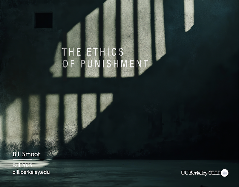 Shadows of jail bars cast along a grubby dirty prison wall