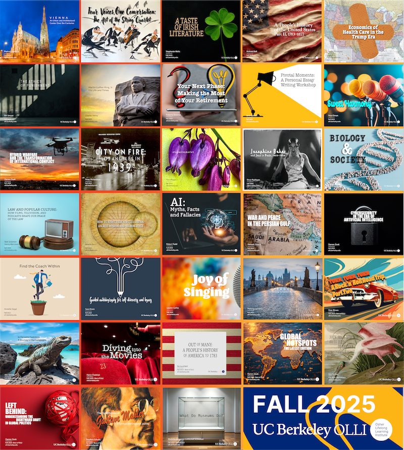 Colorful grid of 34 individual course posters with the words in the bottom right corner "Fall 2025" and the OLLI logo